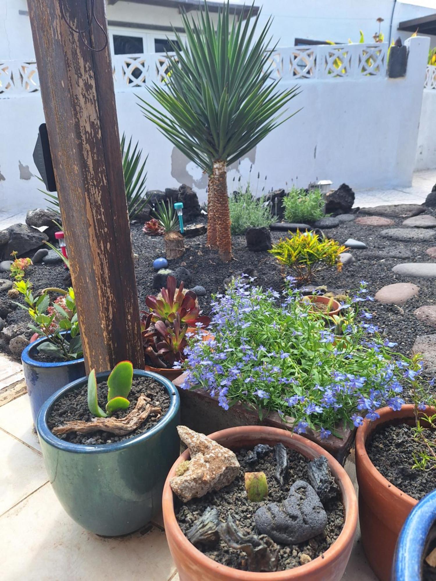 Casita Pequena Lanzarote Teguise (Lanzarote) Exterior foto